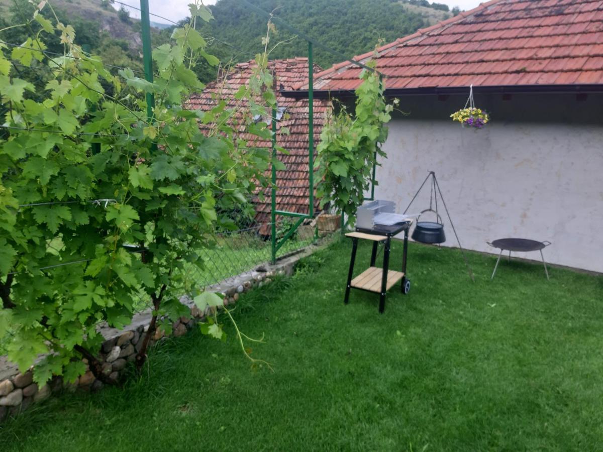 Vila Mir Pirot Exteriér fotografie