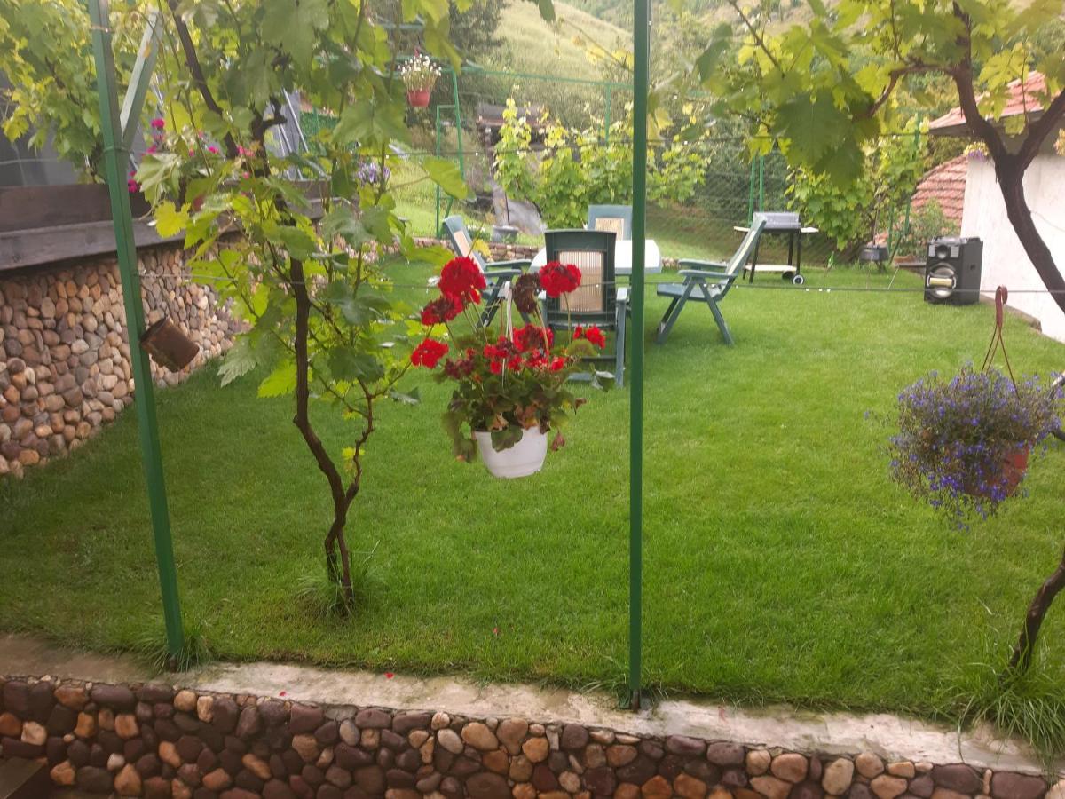 Vila Mir Pirot Exteriér fotografie