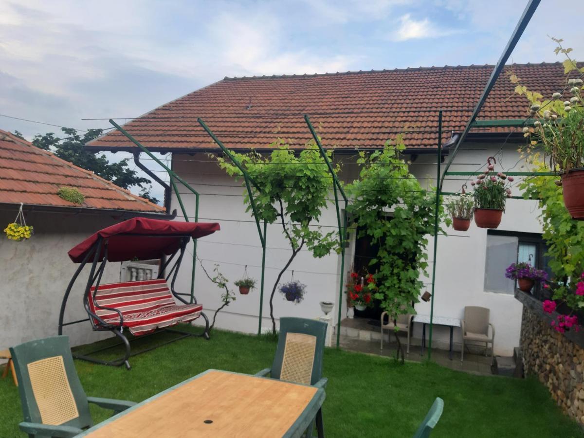 Vila Mir Pirot Exteriér fotografie